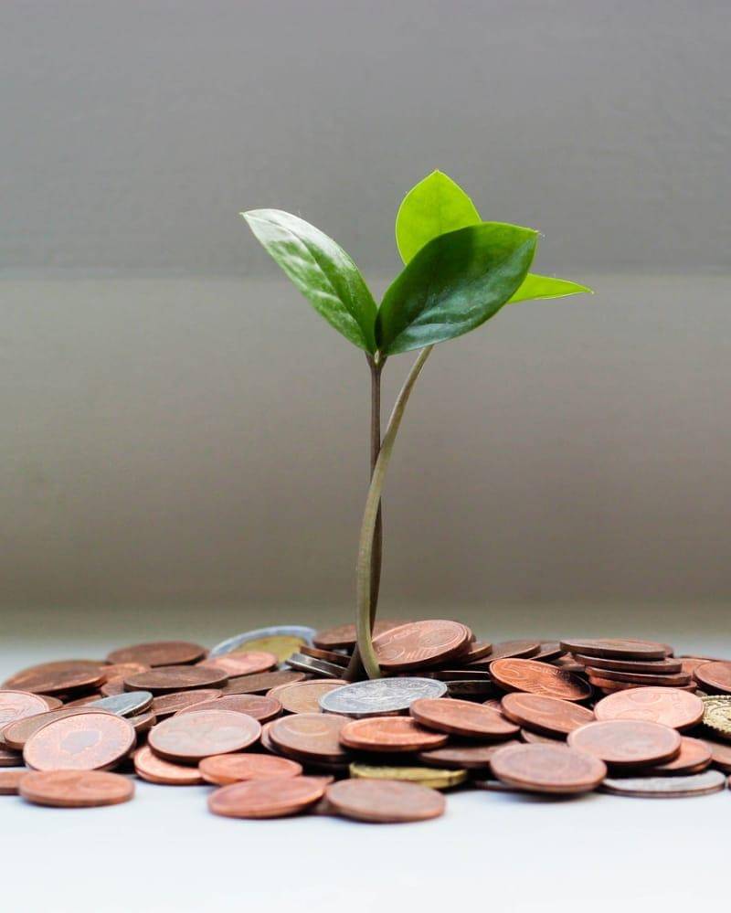 Unsplash/micheile henderson