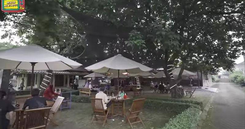 YouTube.com/MAIA ALELDUL TV