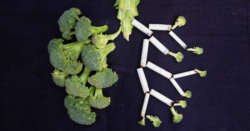 Unsplash/Sara Bakshi