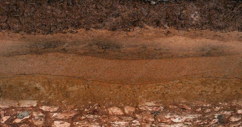 Adobe Stock/rawintanpin