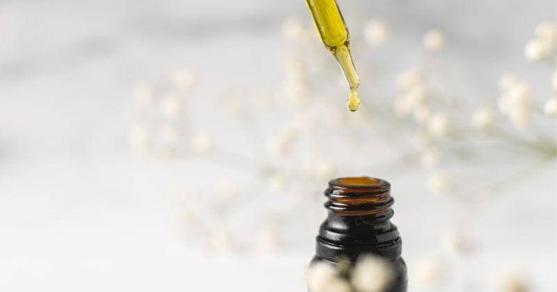 Unsplash/CRYSTALWEED