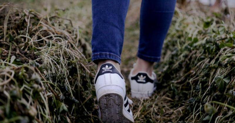 Unsplash/Noémi Macavei-Katócz