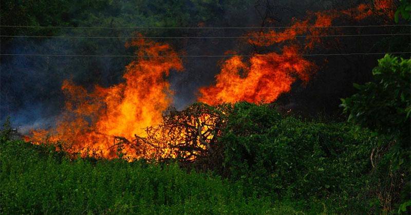 Pexels/Saravanan Narayanan