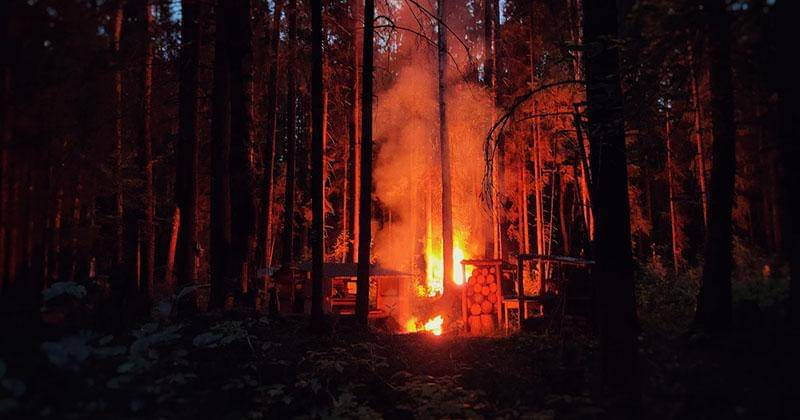 Pexels/Tsepin Цепа