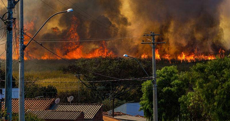 Pexels/Alexandre P. Junior