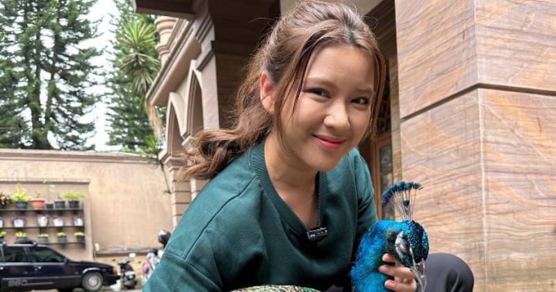 Instagram/tiaraandini