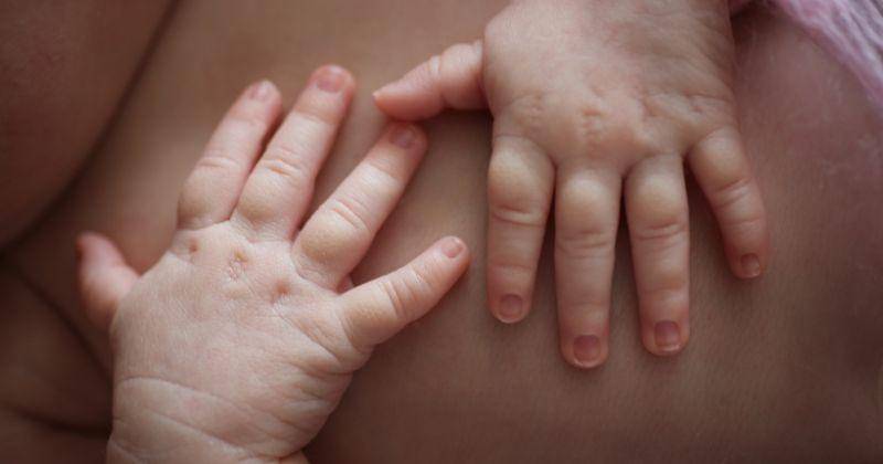 Ilustrasi - Freepik/lebsnow