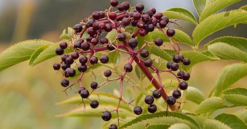 Unsplash/Maddy Weiss