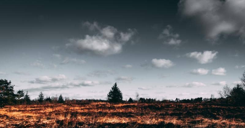 Pexels/Matthis Volquardsen