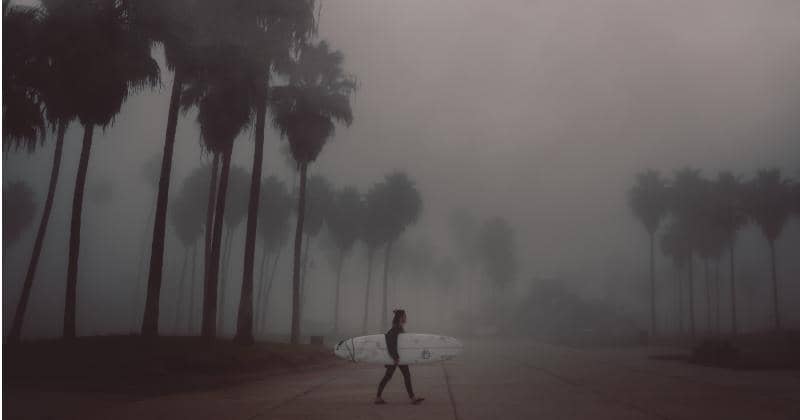 Pexels/ryanmillier
