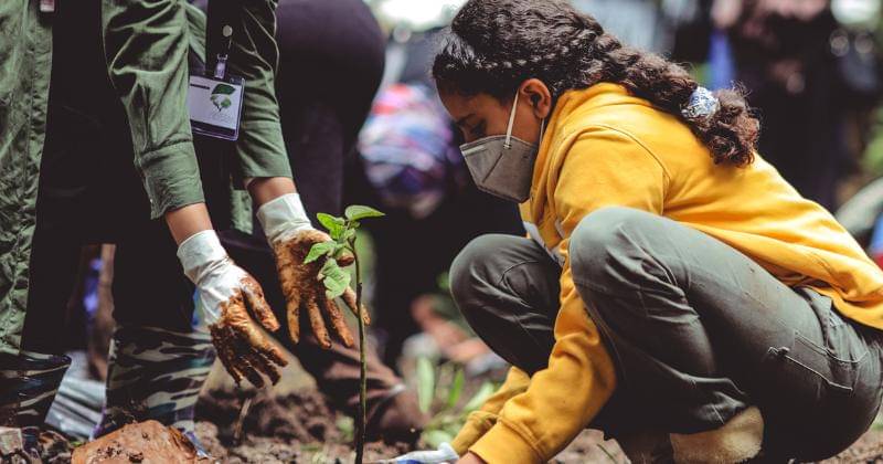 Unsplash/Mathilde Langevin