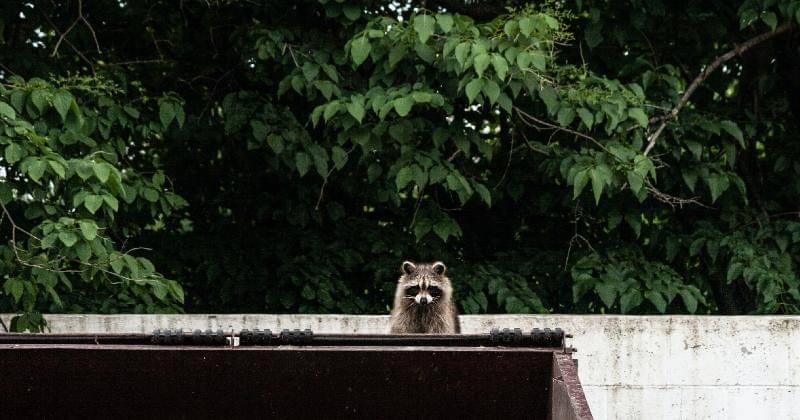 Unsplash/Overture Creations