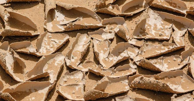 Unsplash/Angélica Echeverry