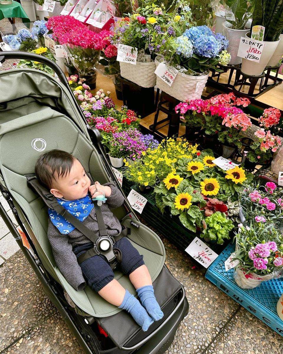 Instagram.com/tiffanysoetanto