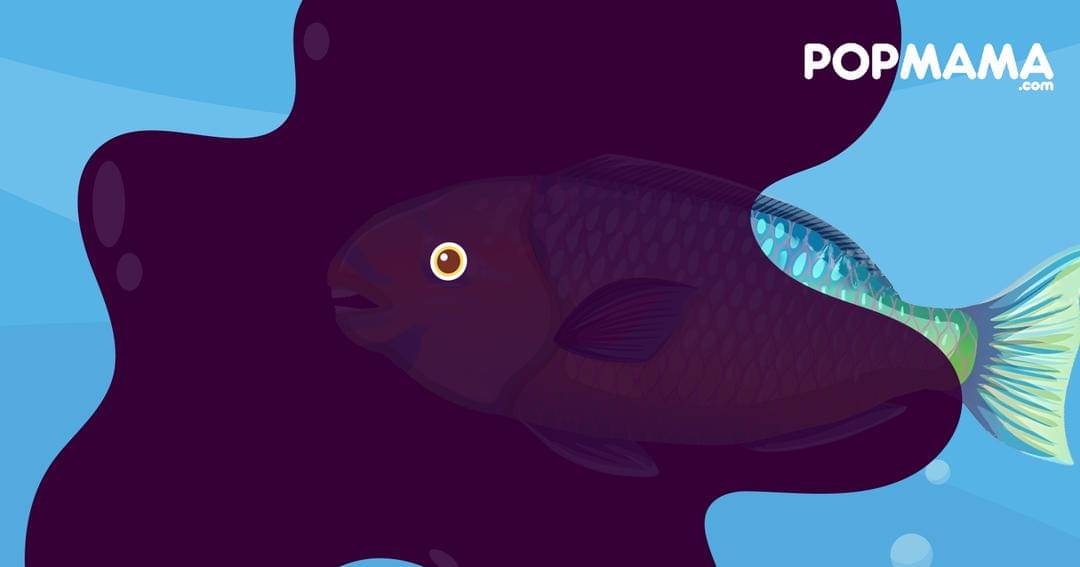 Popmama.com/Aristika Medinasari