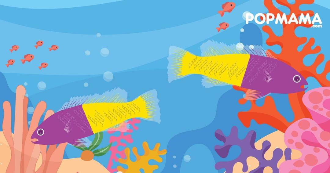 Popmama.com/Aristika Medinasari