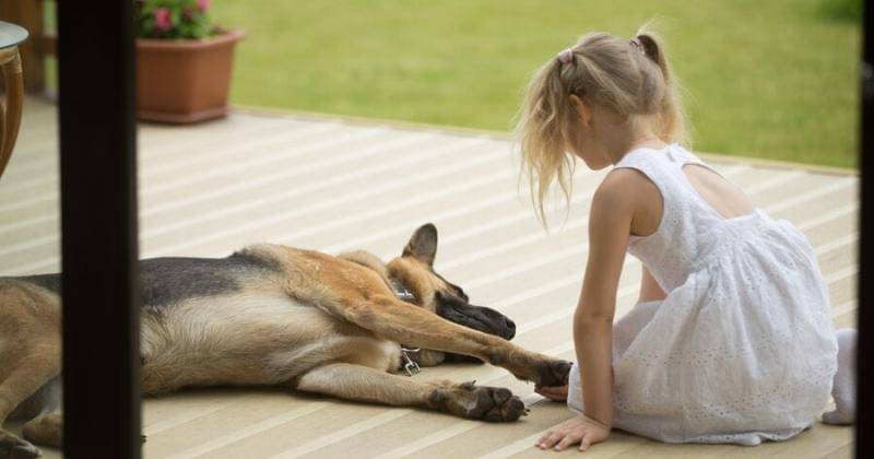 Ilustrasi - Freepik/yanalya