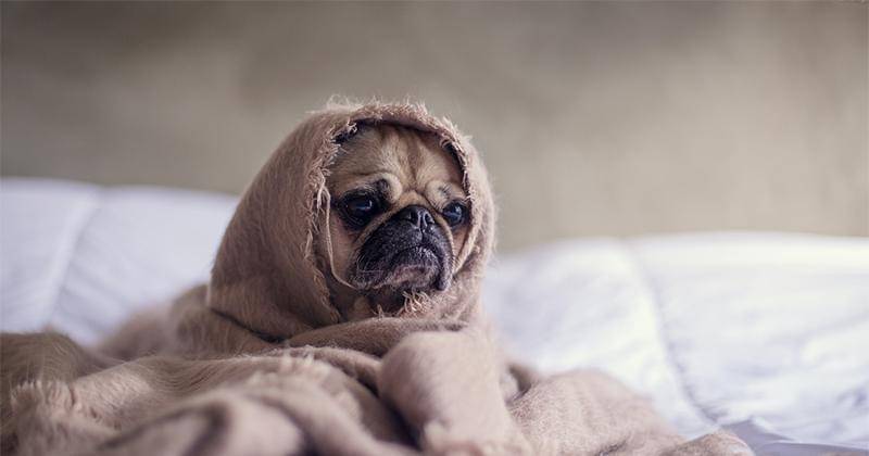 Unsplash/Matthew Henry