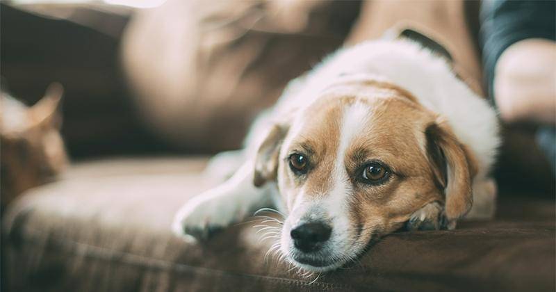 Unsplash/Robert Larsson