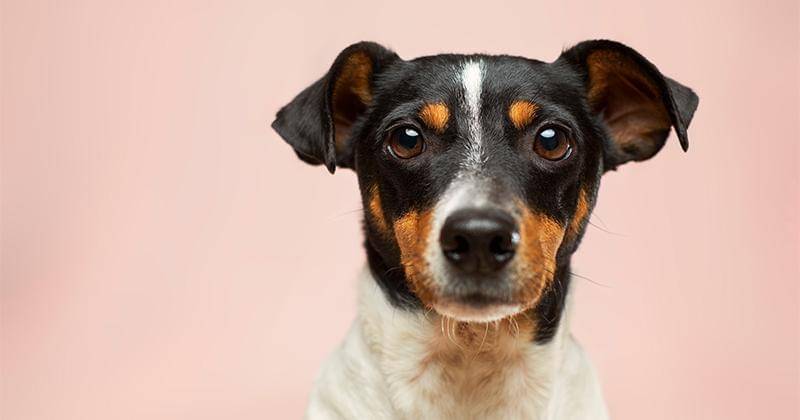 Unsplash/Victor Grabarczyk