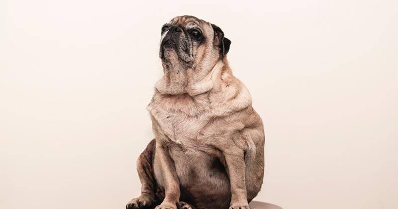 Unsplash/Jorge Zapata