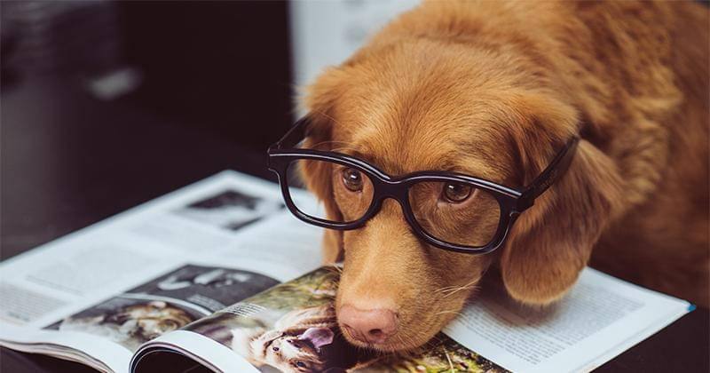 Unsplash/Jamie Street