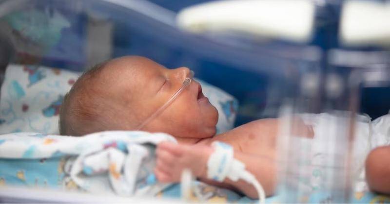 Hanya ilustrasi - Freepik/aspsvz