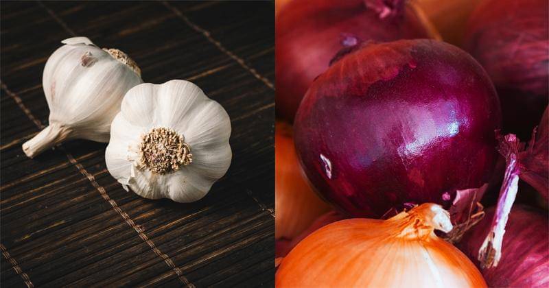 Pexels/Isabella Mendes | Pexels/Kindel Media