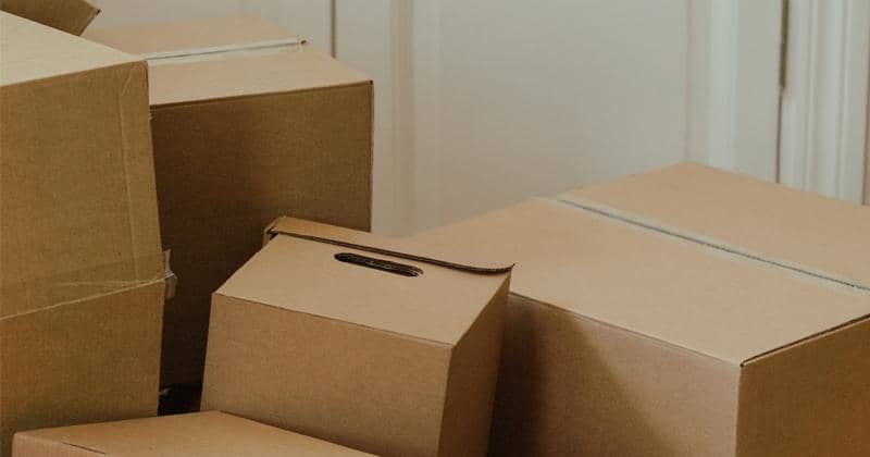 Pexels/cottonbro studio