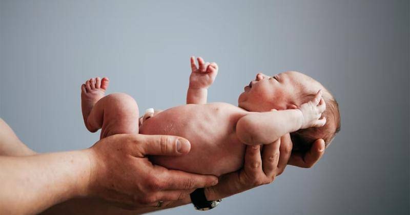 Ilustrasi - Freepik/pshevlotskyy