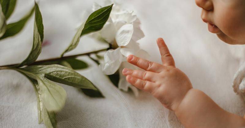 Freepik/freepic.diller