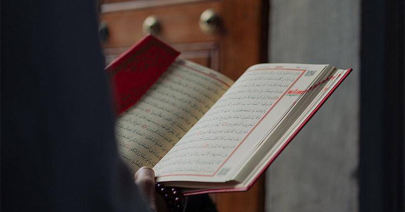 Pexels/Mohamed hamdi