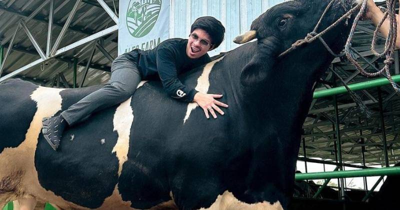 Instagram.com/attahalilintar