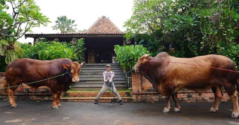 Instagram.com/irfanhakim75