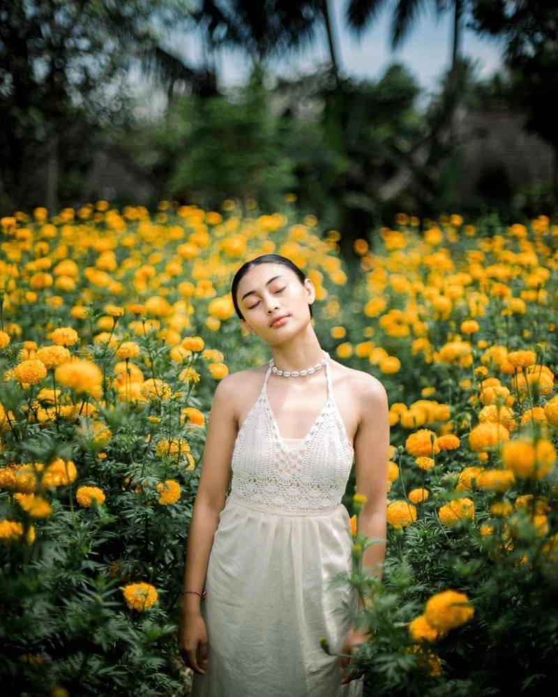 Instagram.com/noviabachmid