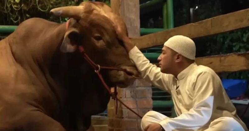 Instagram.com/irfanhakim75