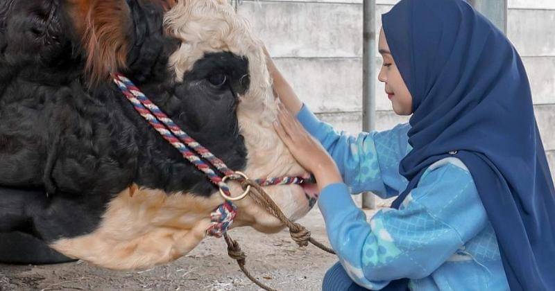 Instagram.com/riaricis1795