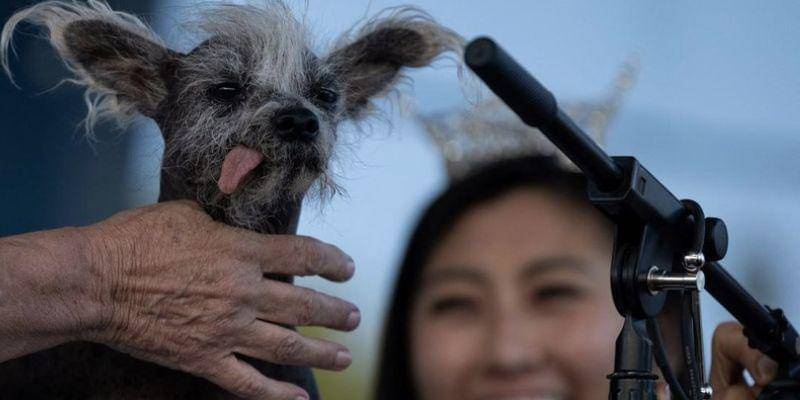 REUTERS/Carlos Barria