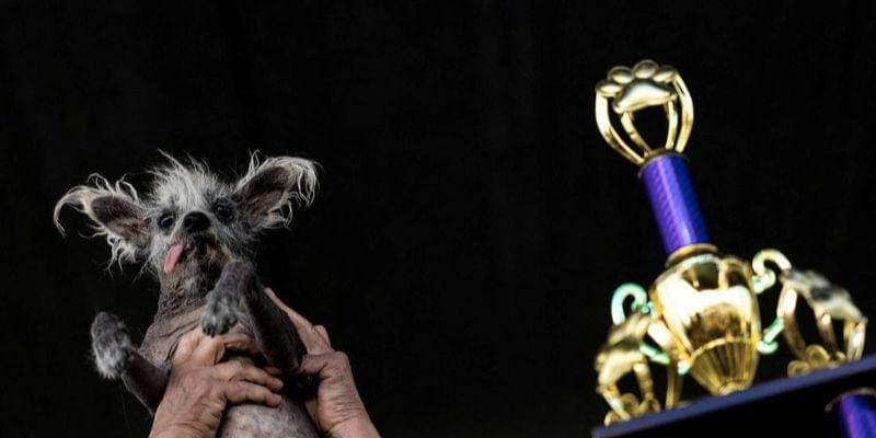 REUTERS/Carlos Barria