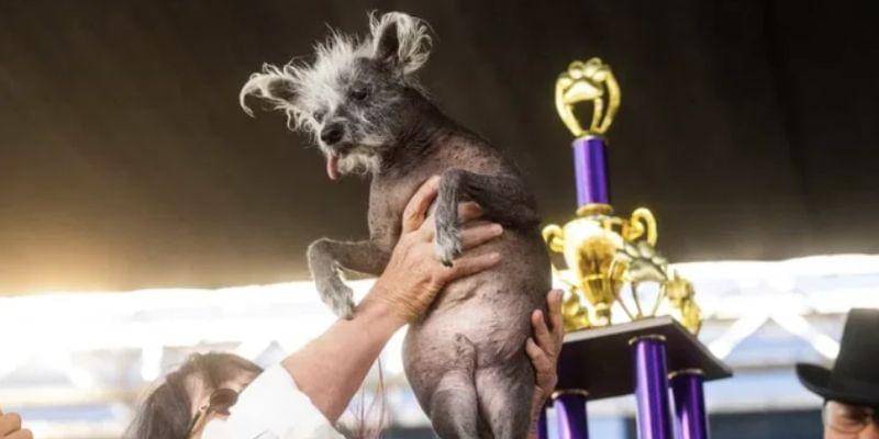 REUTERS/Carlos Barria