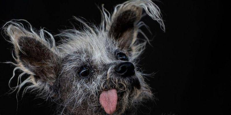 REUTERS/Carlos Barria