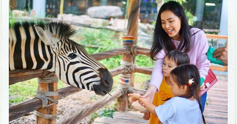 Instagram.com/ladynayoan