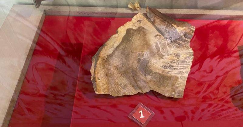 Popmama.com/Novy Agrina