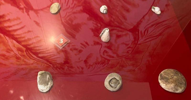 Popmama.com/Novy Agrina