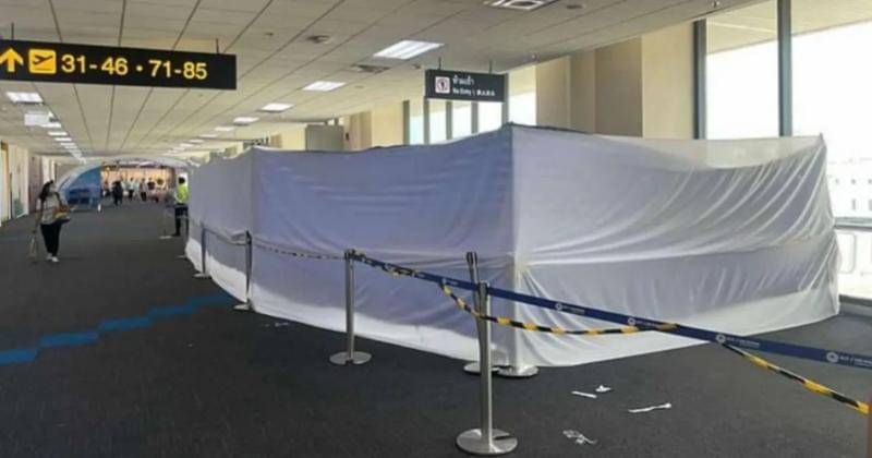 Instagram.com/in_formania