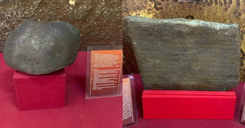 Popmama.com/Novy Agrina