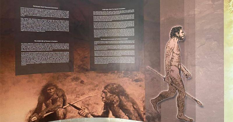 Popmama.com/Novy Agrina