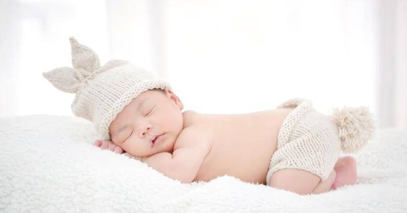 Freepik/studioredcup