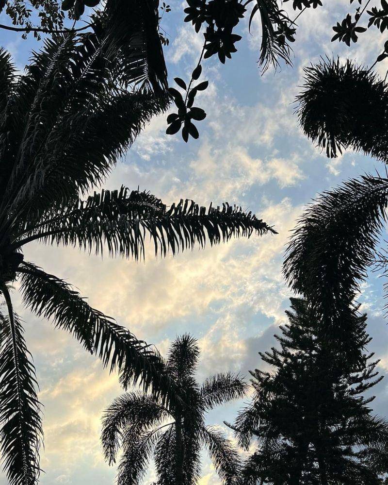 Instagram.com/ralineshah