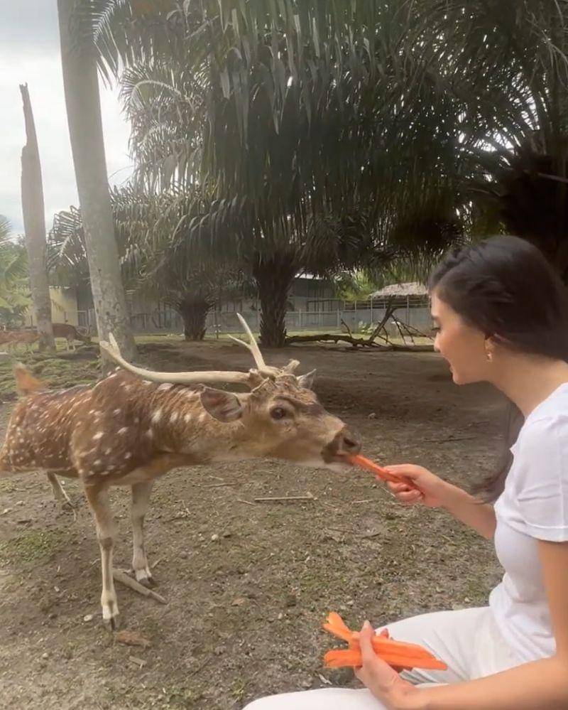 Instagram.com/ralineshah